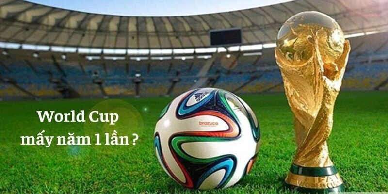 Woldcup bao nhiêu năm tổ chức 1 lần